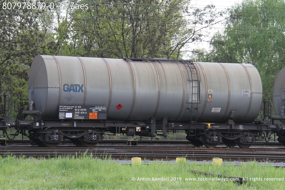 807978879-0_37 Zaes.JPG